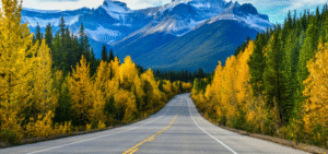 A view of Icefield Parkway in Jasper
